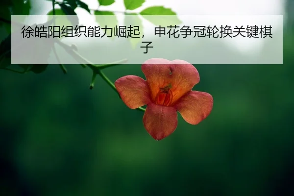 xu-hao-yang-zu-zhi-neng-li-jue-qi-shen-hua-zheng-guan-lun-huan-guan-jian-qi-zi-2-405.jpg
