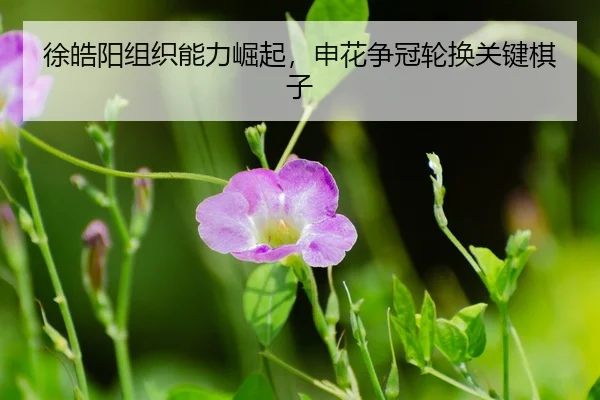 xu-hao-yang-zu-zhi-neng-li-jue-qi-shen-hua-zheng-guan-lun-huan-guan-jian-qi-zi-3-428.jpg