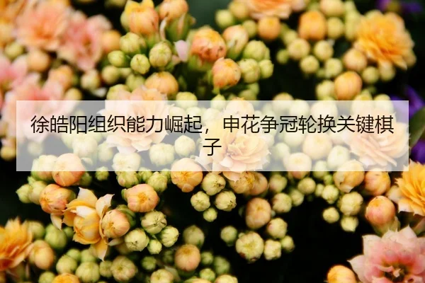 徐皓阳组织能力崛起，申花争冠轮换关键棋子