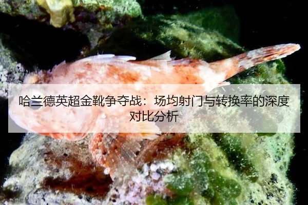ha-lan-de-ying-chao-jin-xue-zheng-duo-zhan-chang-jun-she-men-yu-zhuan-huan-lv-de-shen-du-dui-bi-fen-xi-2-265.jpg