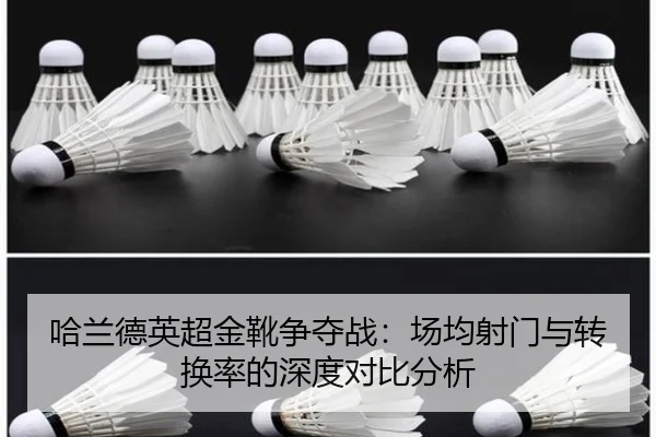ha-lan-de-ying-chao-jin-xue-zheng-duo-zhan-chang-jun-she-men-yu-zhuan-huan-lv-de-shen-du-dui-bi-fen-xi-3-347.jpg