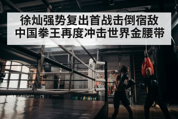徐灿强势复出首战击倒宿敌 中国拳王再度冲击世界金腰带