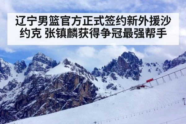辽宁男篮官方正式签约新外援沙约克 张镇麟获得争冠最强帮手
